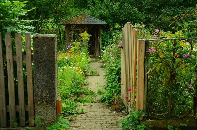 Comment préparer votre jardin pour le printemps ?