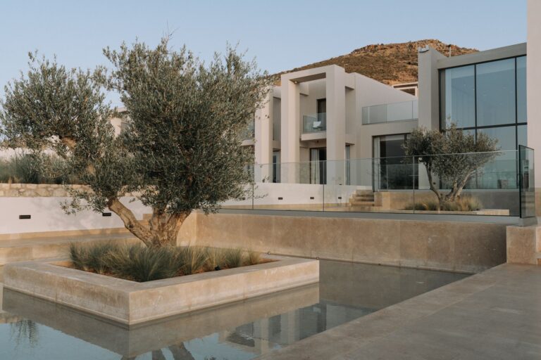 Villa moderne avec architecture contemporaine, baies vitrées, jardin paysager avec olivier et bassin réfléchissant, dans un cadre montagneux.